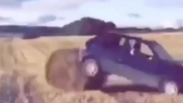 Foreign hilarious videos Foreign hilarious scenes