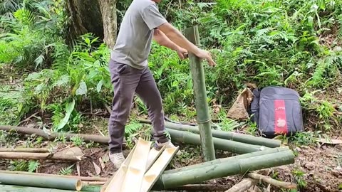 Tree Top Haven: Turning Ancient Stumps into a Sky-High Cabin!