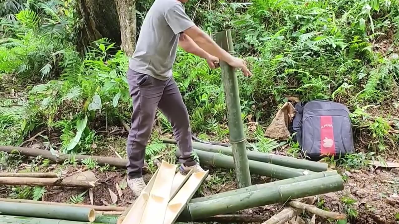 Tree Top Haven: Turning Ancient Stumps into a Sky-High Cabin!