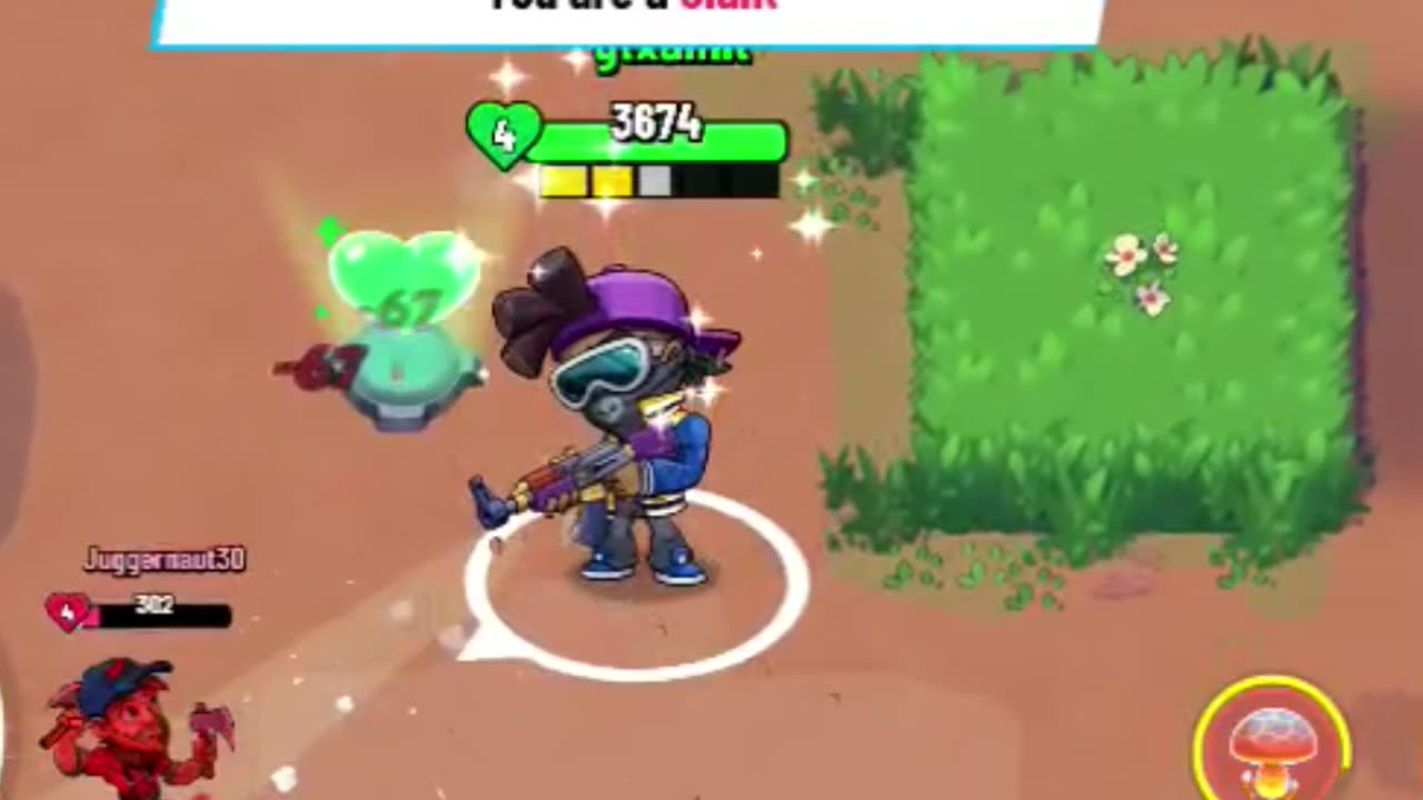2@gtxamit |Batter stars