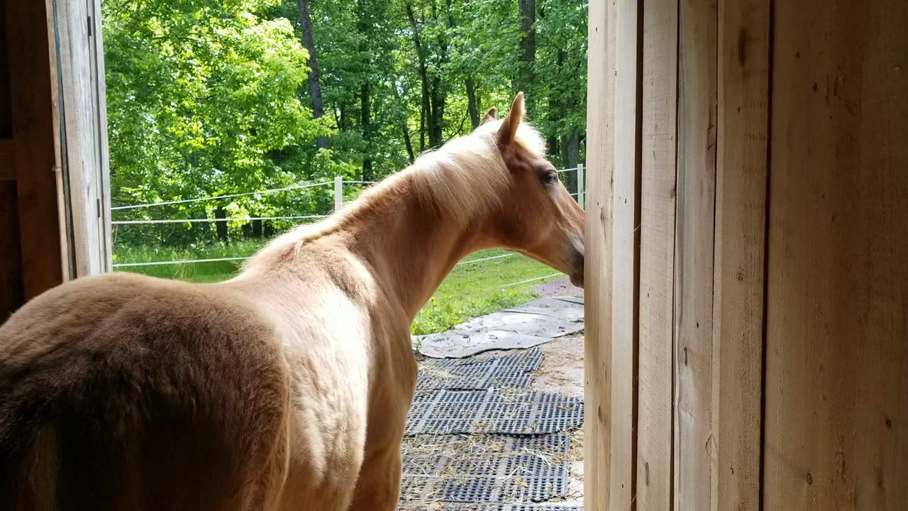 You can't bite it Breezy