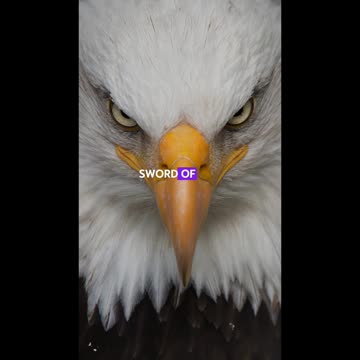 God’s Shield: Protection for Life’s Battles