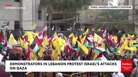 Thousands Of Pro-Palestinian Demonstrators In Lebanon Protest Israels Attacks On Gaza