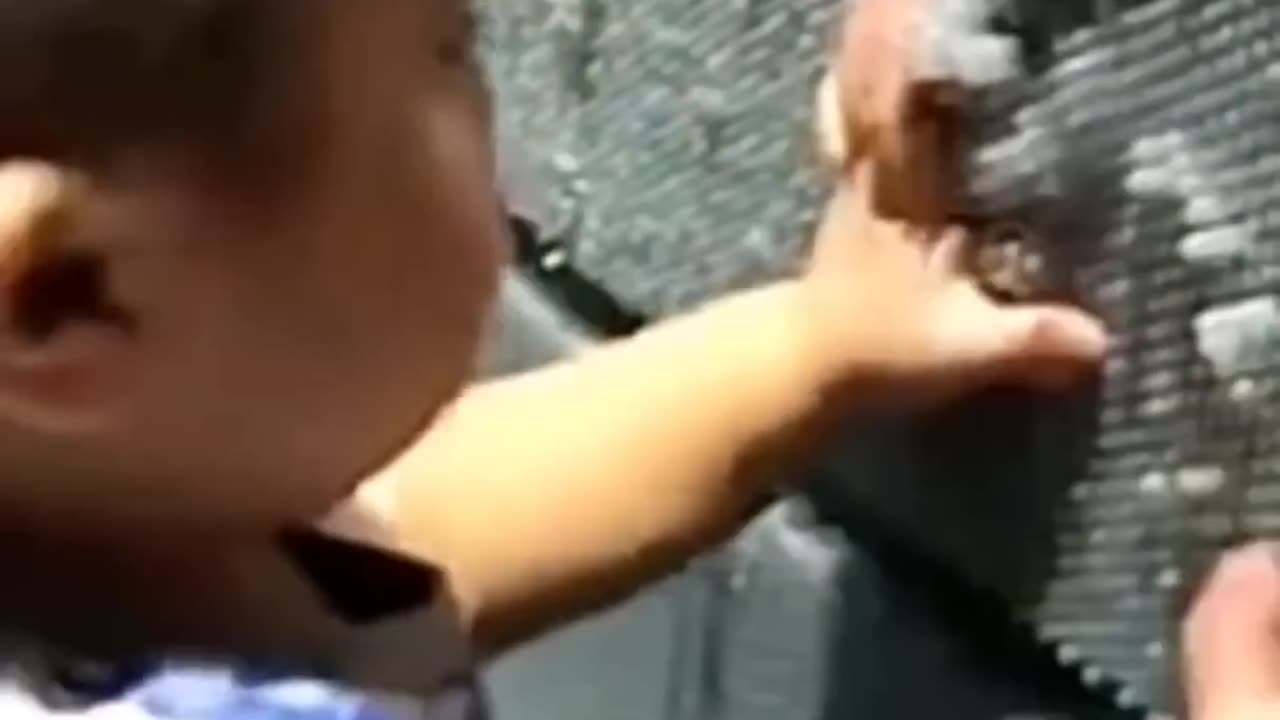 Random Memes on internet #2