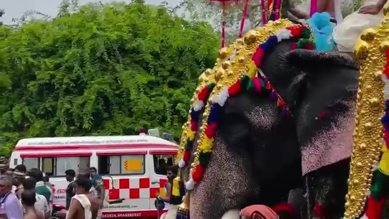 Thrissur pooram | 2024|