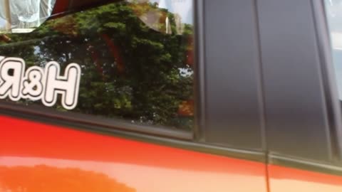 suzuki swift modified wildcat