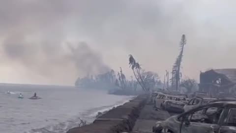 Maui: incendi mirati.