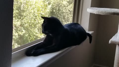 20240715 121924 Tux Sightseeing