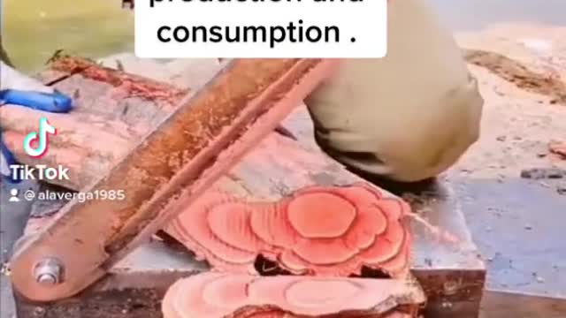 Fun factNorth Korea is leading the way in Vegan Meat production and consumption