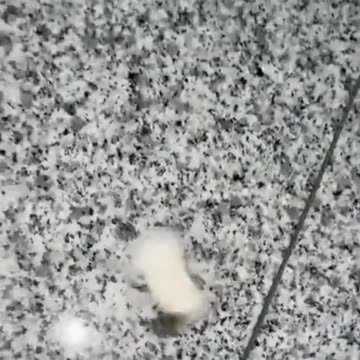 Bug on Redbull! #funnyshorts