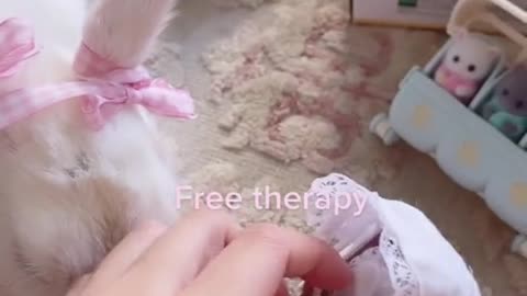 best bunny ever