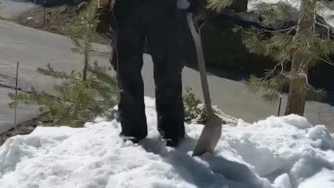 The End 😂😂😂 #viral #shorts #reels #funny #fails