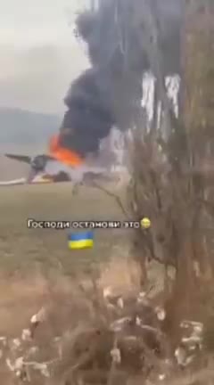 The invaders' plane was shot down.