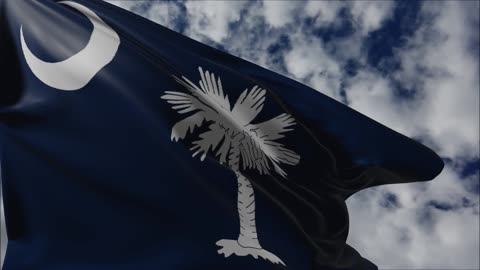 Flag of South Carolina