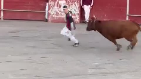 Animal game