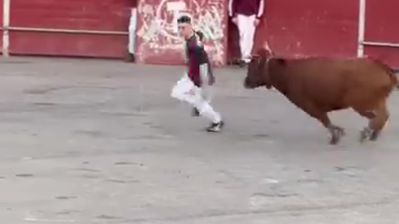 Animal game