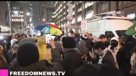 Antifa harassed the Fox News reporter