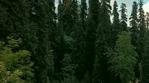 Beauty of kpk pakistan