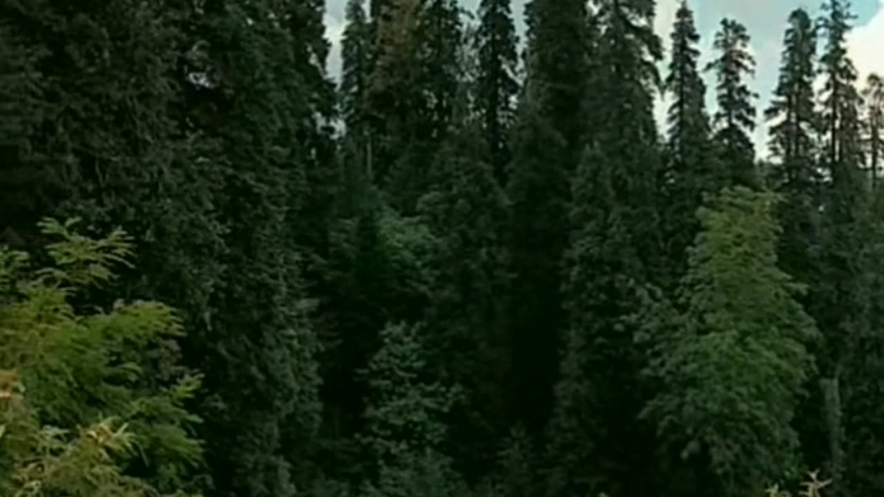 Beauty of kpk pakistan