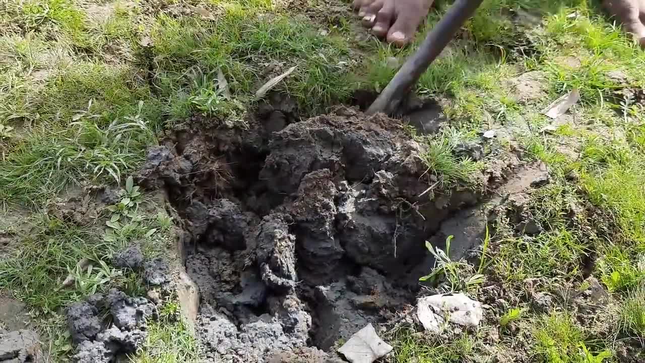 Amazing Easy Fish Trap | Unique Easy Fish Trap System for Catch Fish in River-9
