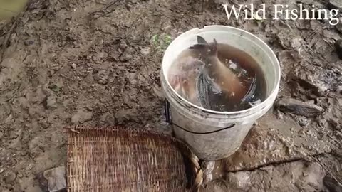 Fishing Exciting, Use A Large Capacity Pump, Catch Many Of Fish In The Lake
