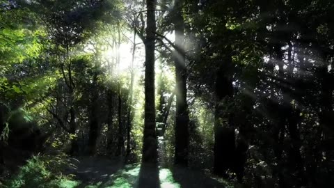 Epic video - cinematic motion with music