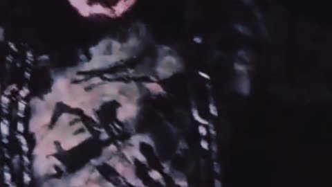 Freestyle Video