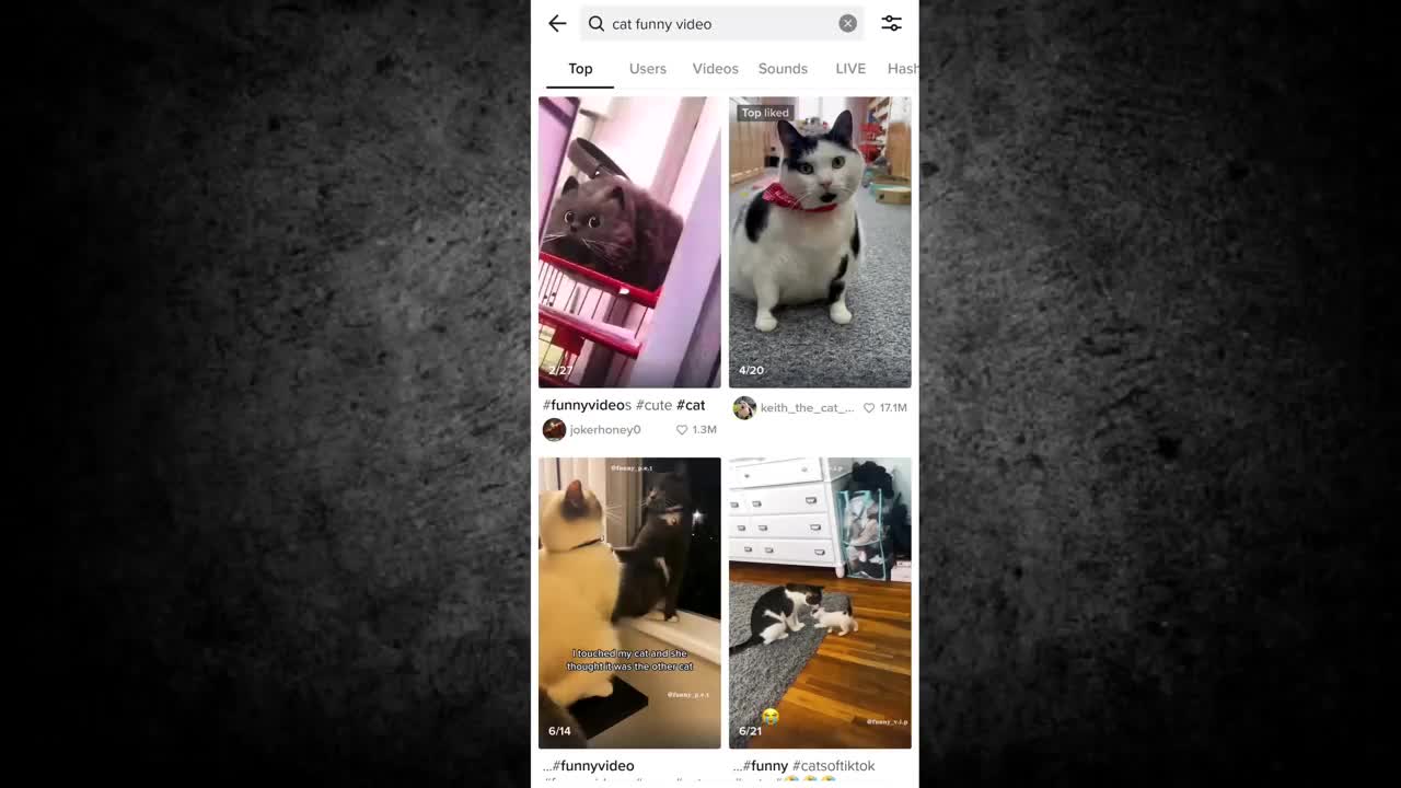 dog and cat funny videos #shorts