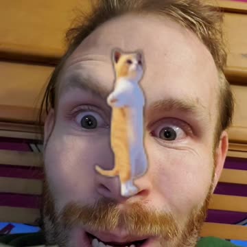 Cats Don't Dance? But.....Maybe they do