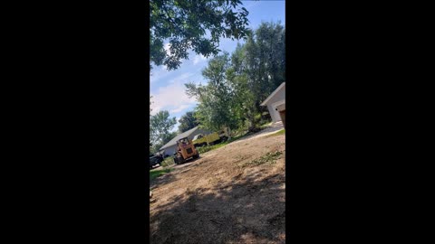 Roesler Tree Service LLC - (605) 315-5557