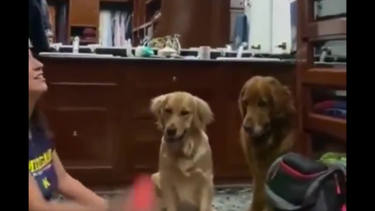 They were like ''Bro wtf, Where'd it go? What did you do?'' 😂
