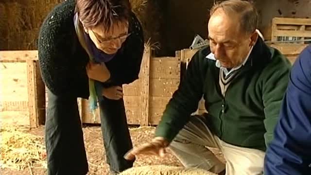 Wer war ich - Reise in ein früheres Leben 4-6 2005, (Dokumentation, German Deutsch)