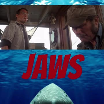 Jaws Shorts Happy Holloween #jaws #universalpictures #shark