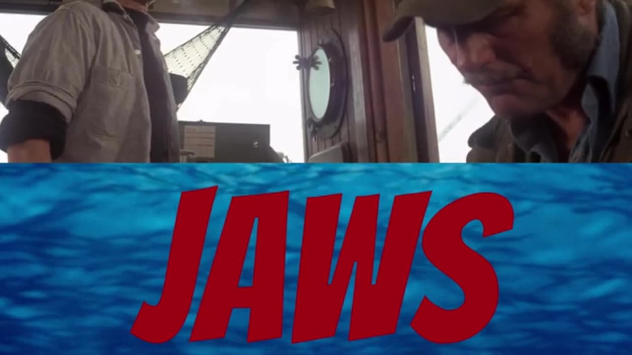 Jaws Shorts Happy Holloween #jaws #universalpictures #shark
