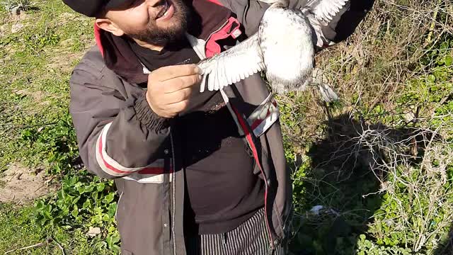 What can you catch with a fishing rod instead of fish!!