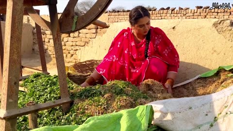 Aaj ka Din iss liye bna Khaas _ Village Routine Life _ Aliza Sehar