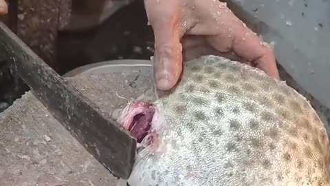 Fish cutting