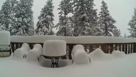 Four Feet of Snow Time Lapse in Evergreen Colorado - April 2016