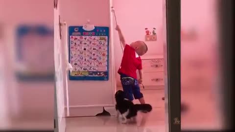 Baby Cats - Cute and Funny Cat Videos Compilation #66 | Aww Animals
