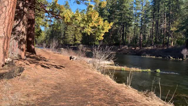 Enjoying the Tranquil Serenity – Metolius River – Central Oregon