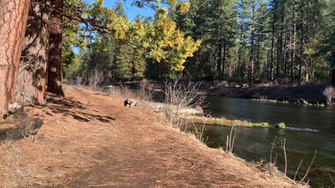 Enjoying the Tranquil Serenity – Metolius River – Central Oregon