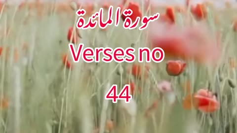 Surah Al-Maidah verses no 44