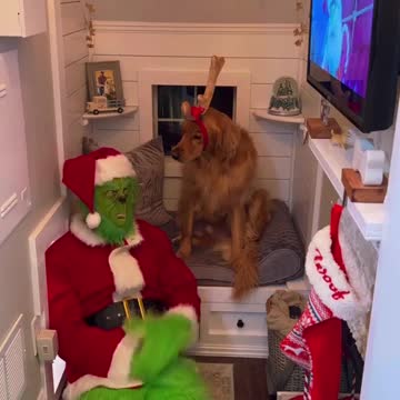 "A Dog's Christmas: Celebrating the Holidays with Man's Best Friend