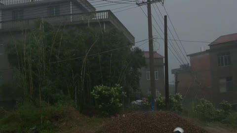 This video was shot on May 29, 2021, and it was raining that day!