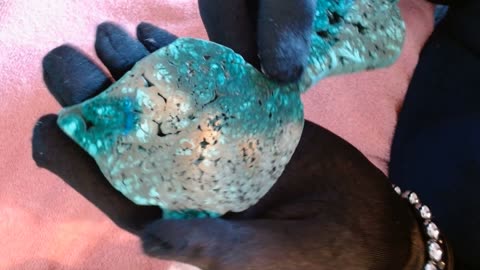Brochanite or Malachite wings?