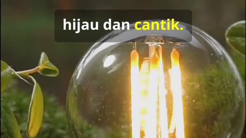 Tanaman yang bisa menghasilkan listrik