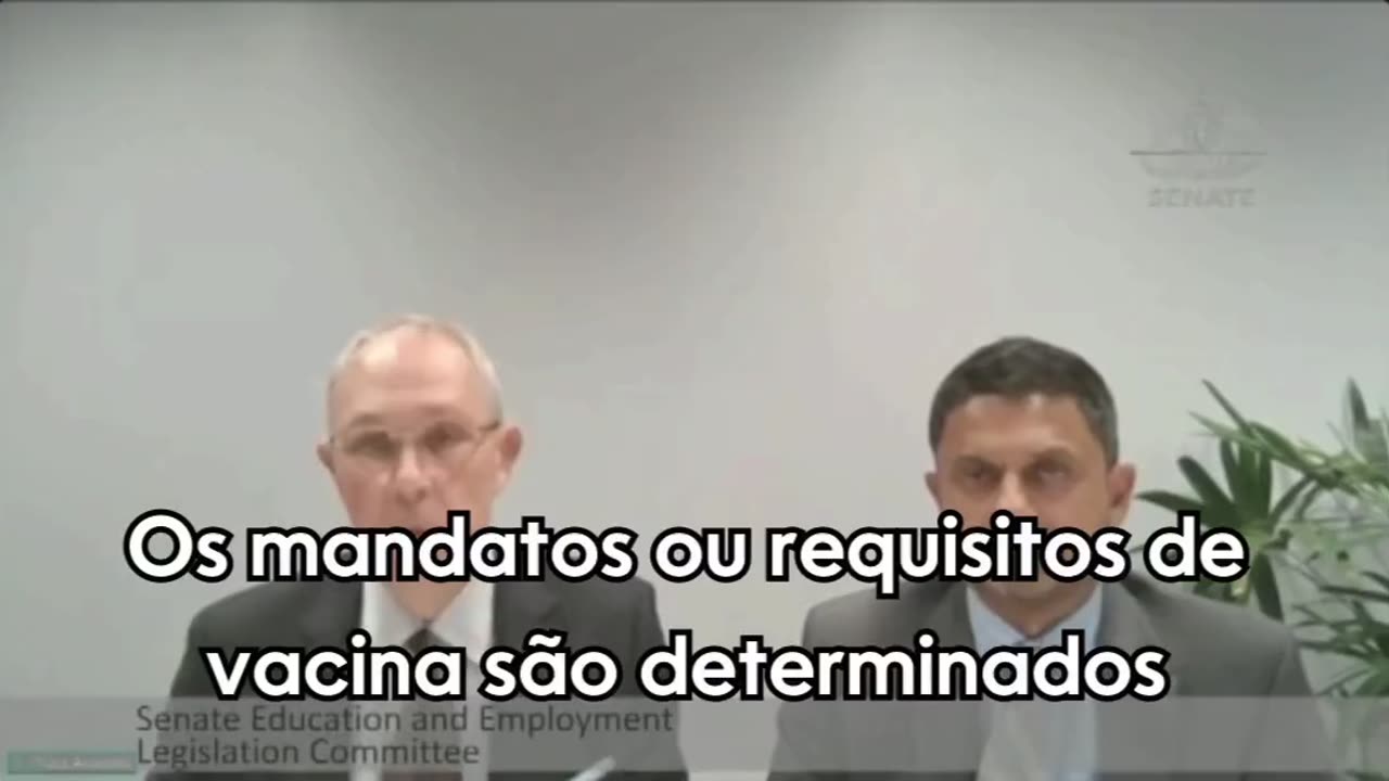 Pfizer: “Ninguém foi obrigado a tomar vacina ” C19!!!