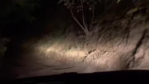 Old Haunted Road's Scary Secret #shorts