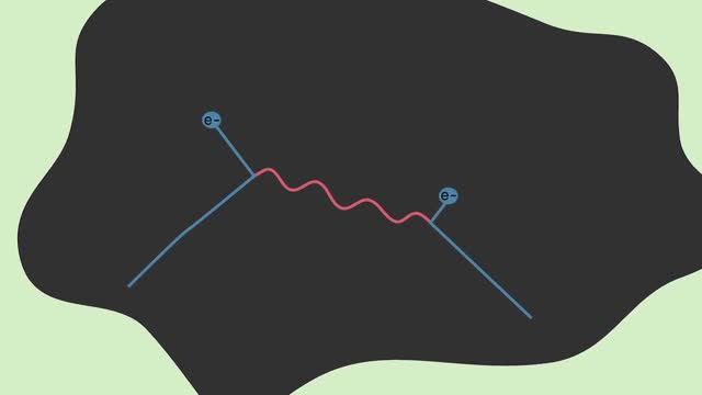 What Are Feynman Diagrams