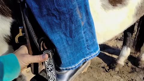 Beginner friendly Horse riding exercises for balance and control